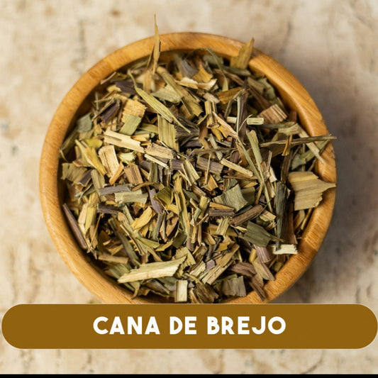 CANA DO BREJO